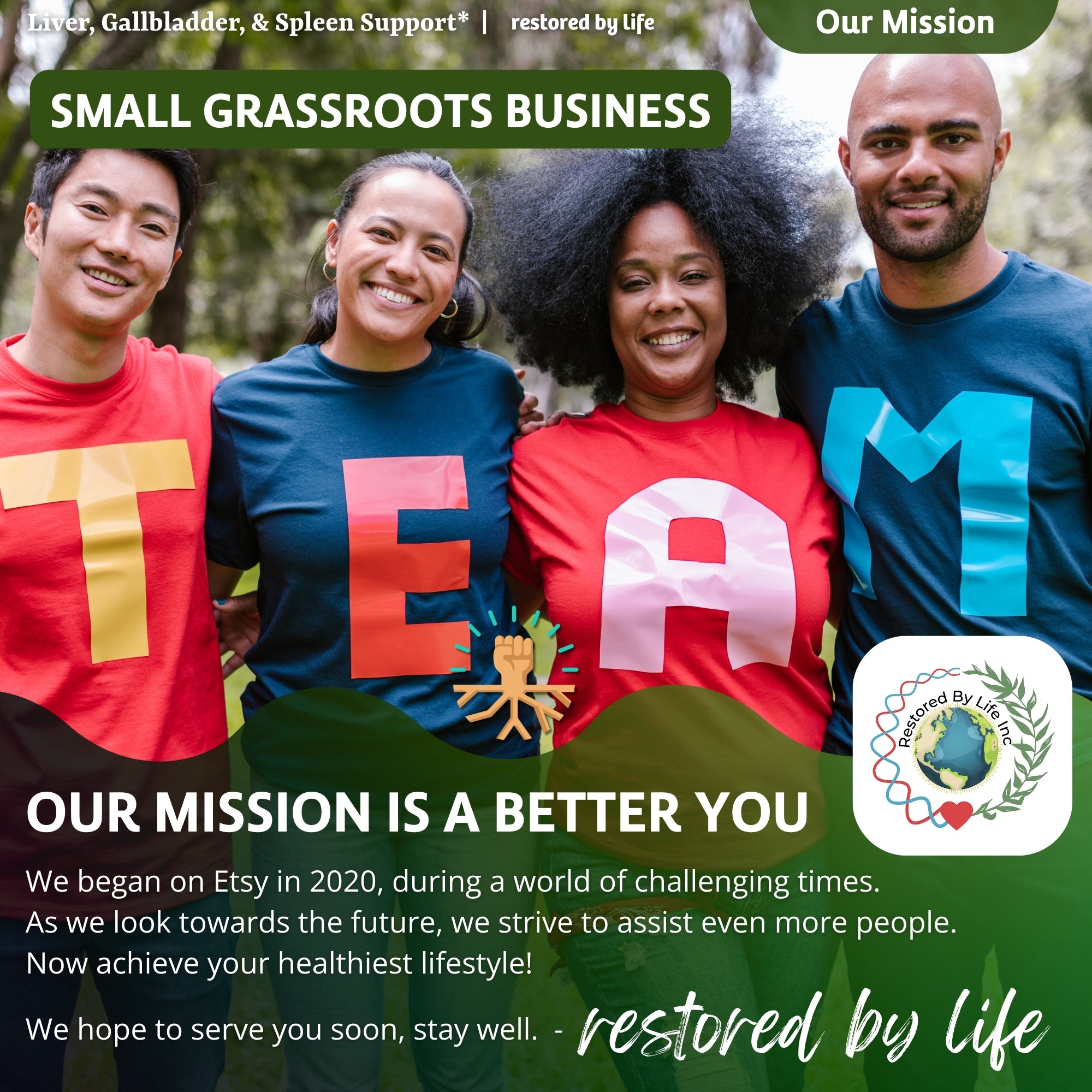 Liver, Gallbladder, & Spleen Support