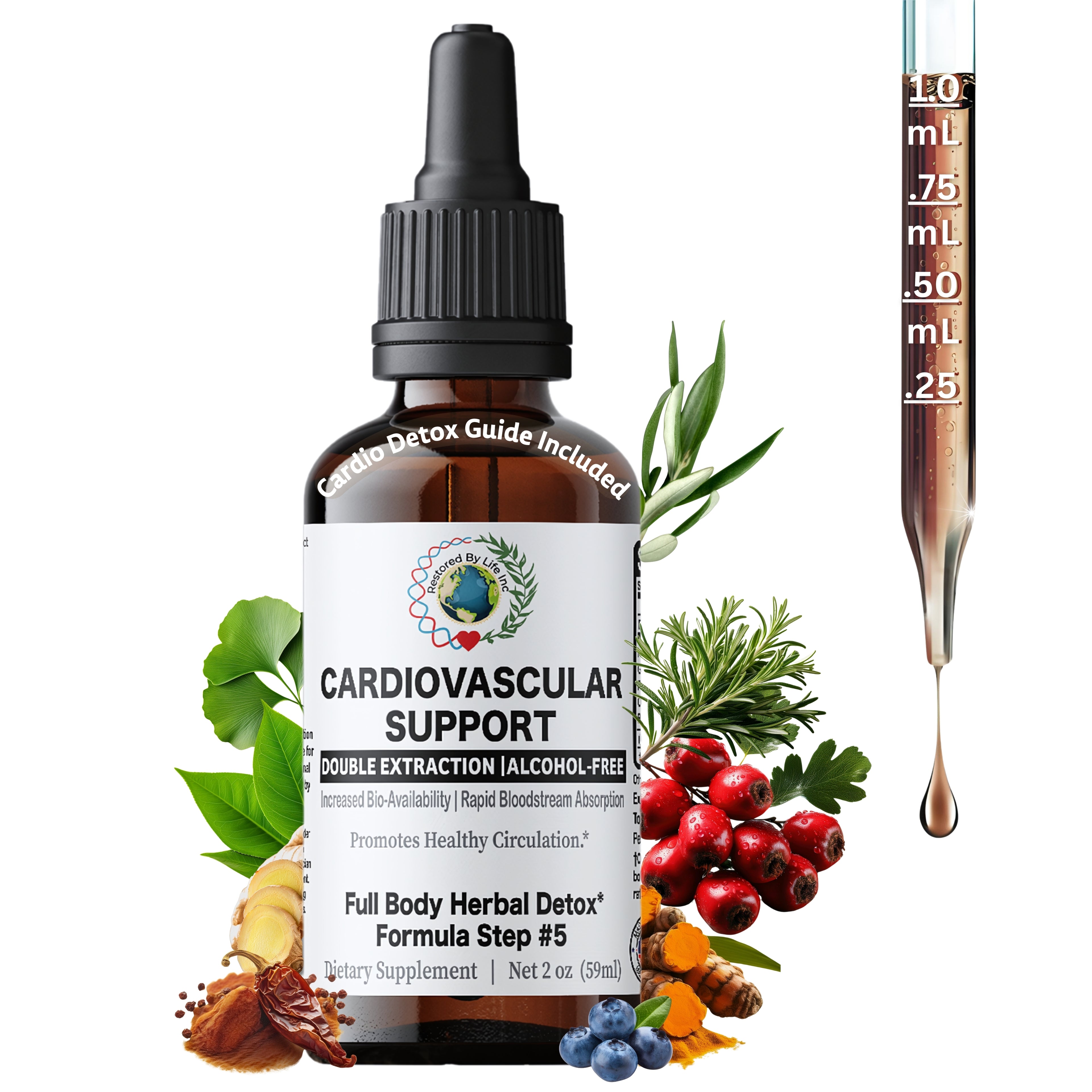 Cardiovascular Support - Herbal Heart & Circulation Tincture, 2 oz
