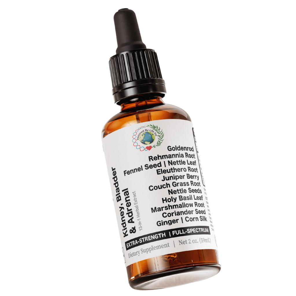 Kidney, Bladder & Adrenal Glands Support | Full-Spectrum