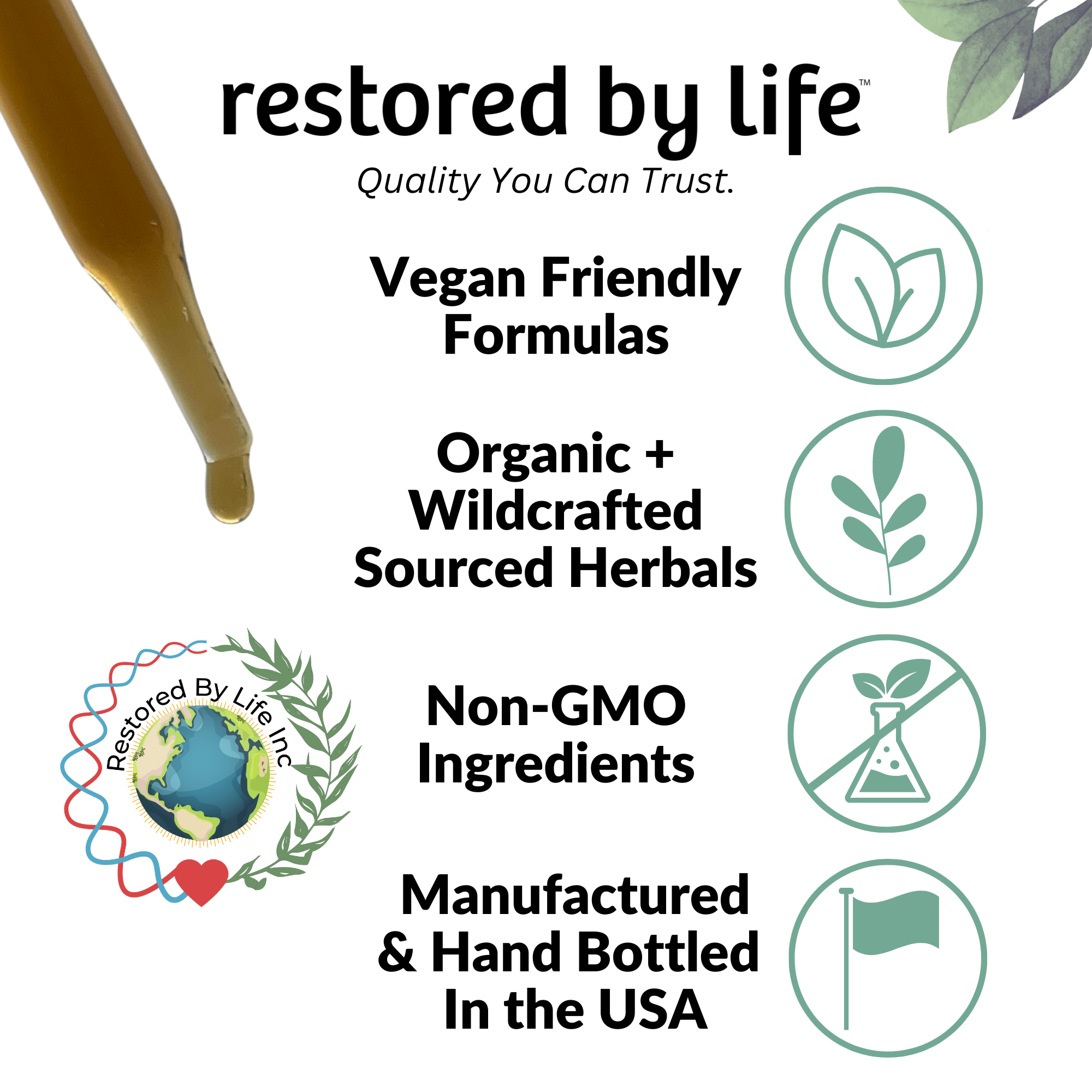 Colon & Digestive Tract Support