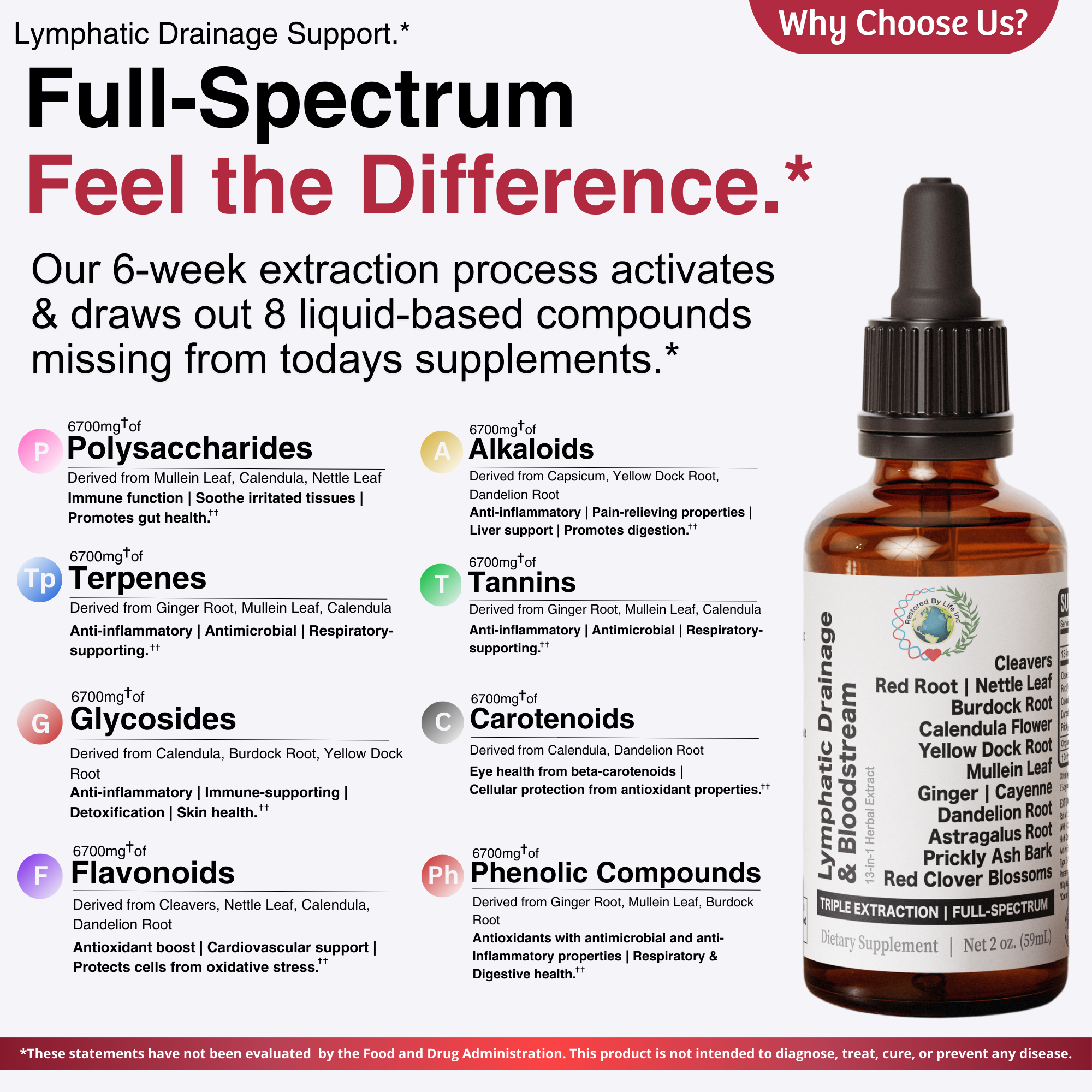 Lymphatic & Bloodstream Support | Full-Spectrum