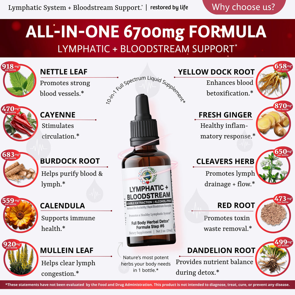 Lymphatic + Bloodstream Support