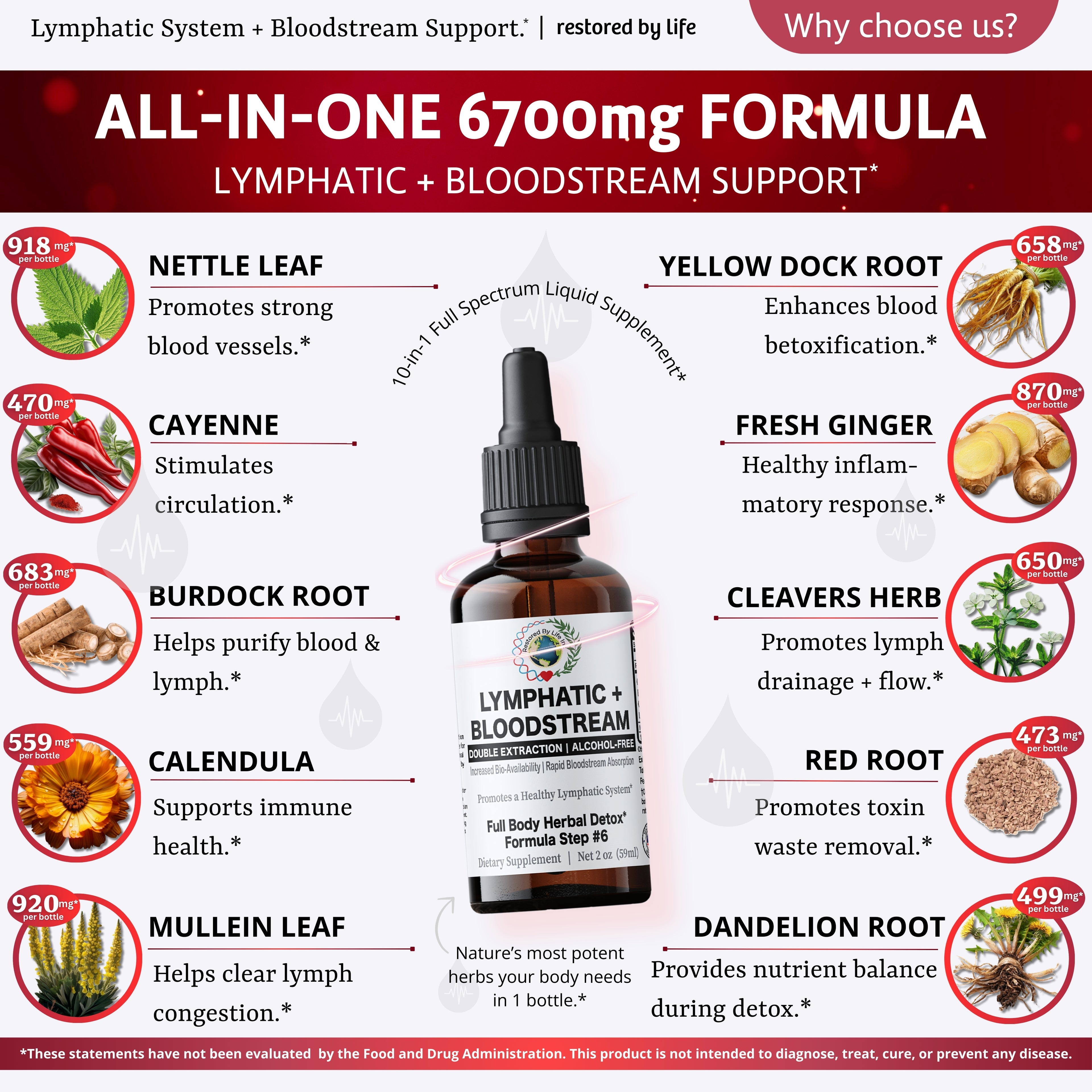 Lymphatic + Bloodstream Support