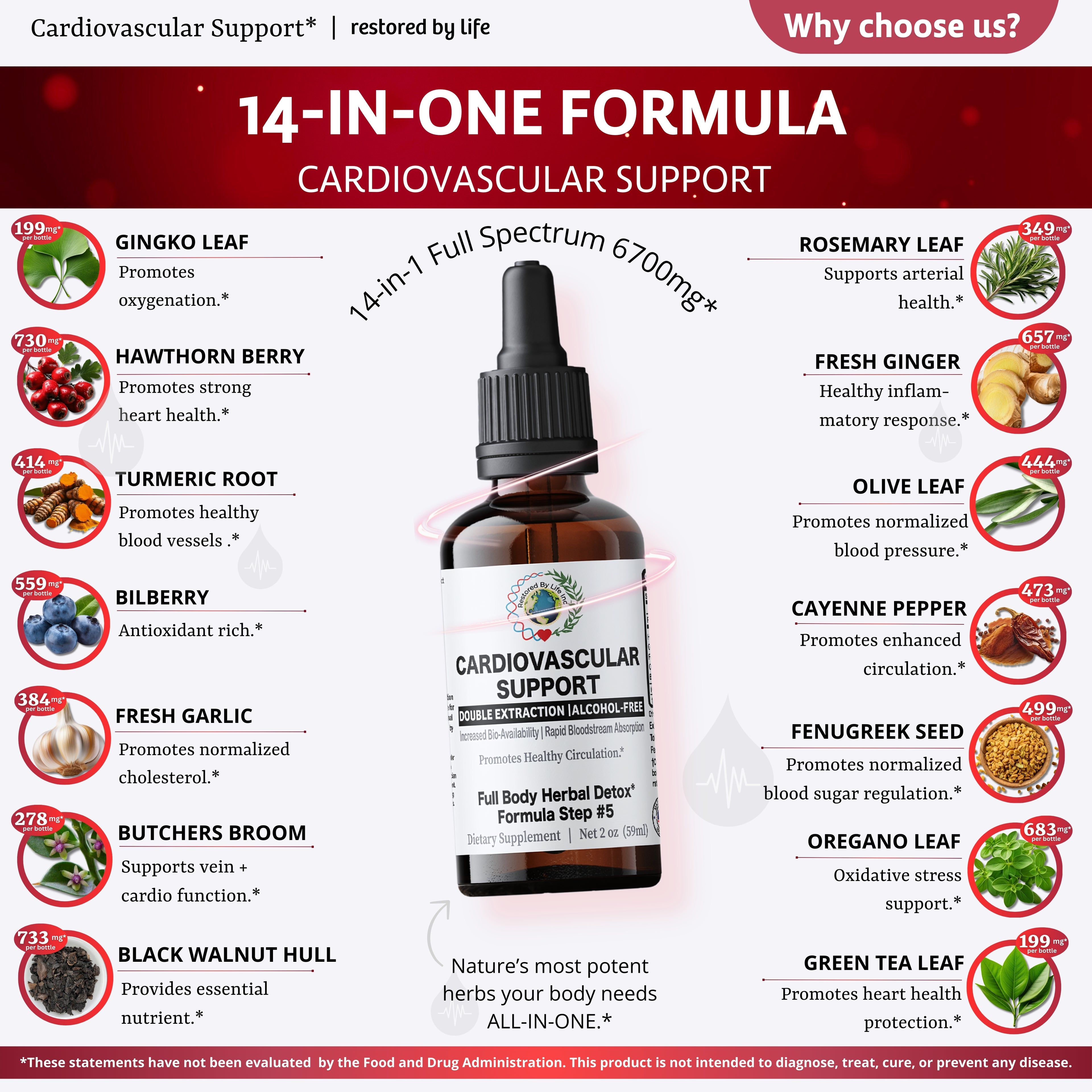 Cardiovascular Support - Herbal Heart & Circulation Tincture, 2 oz