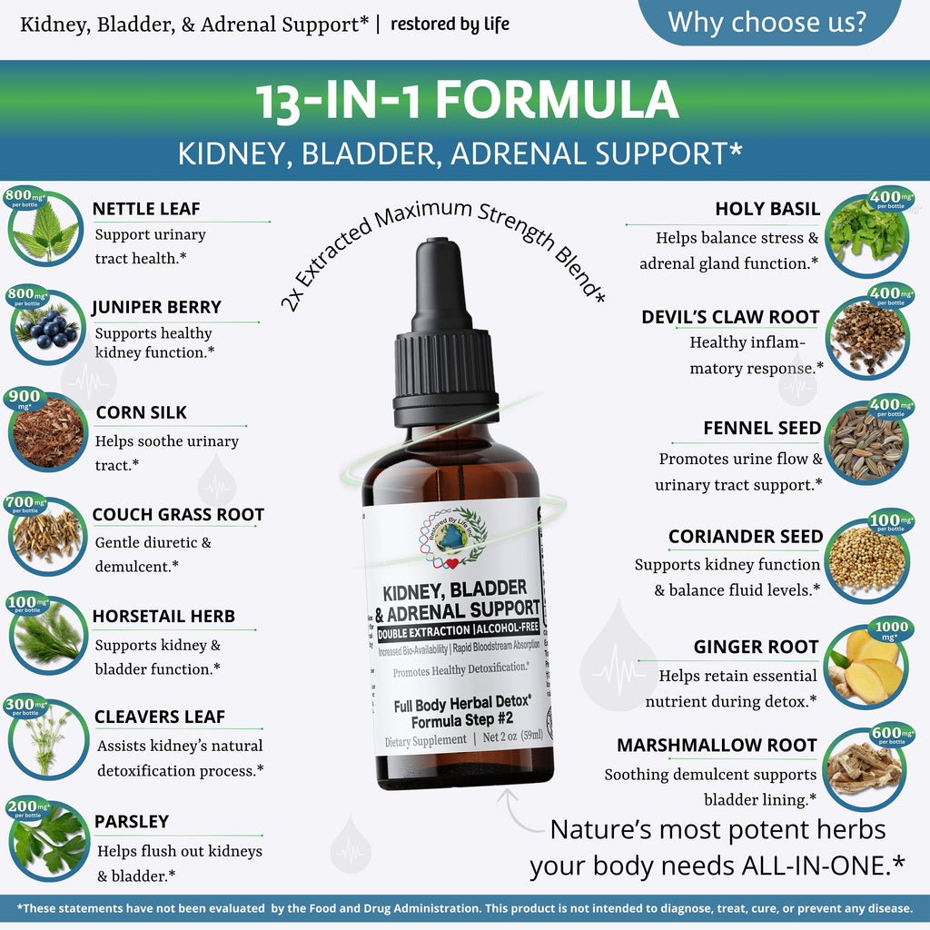 Kidney, Bladder & Adrenal Glands Support