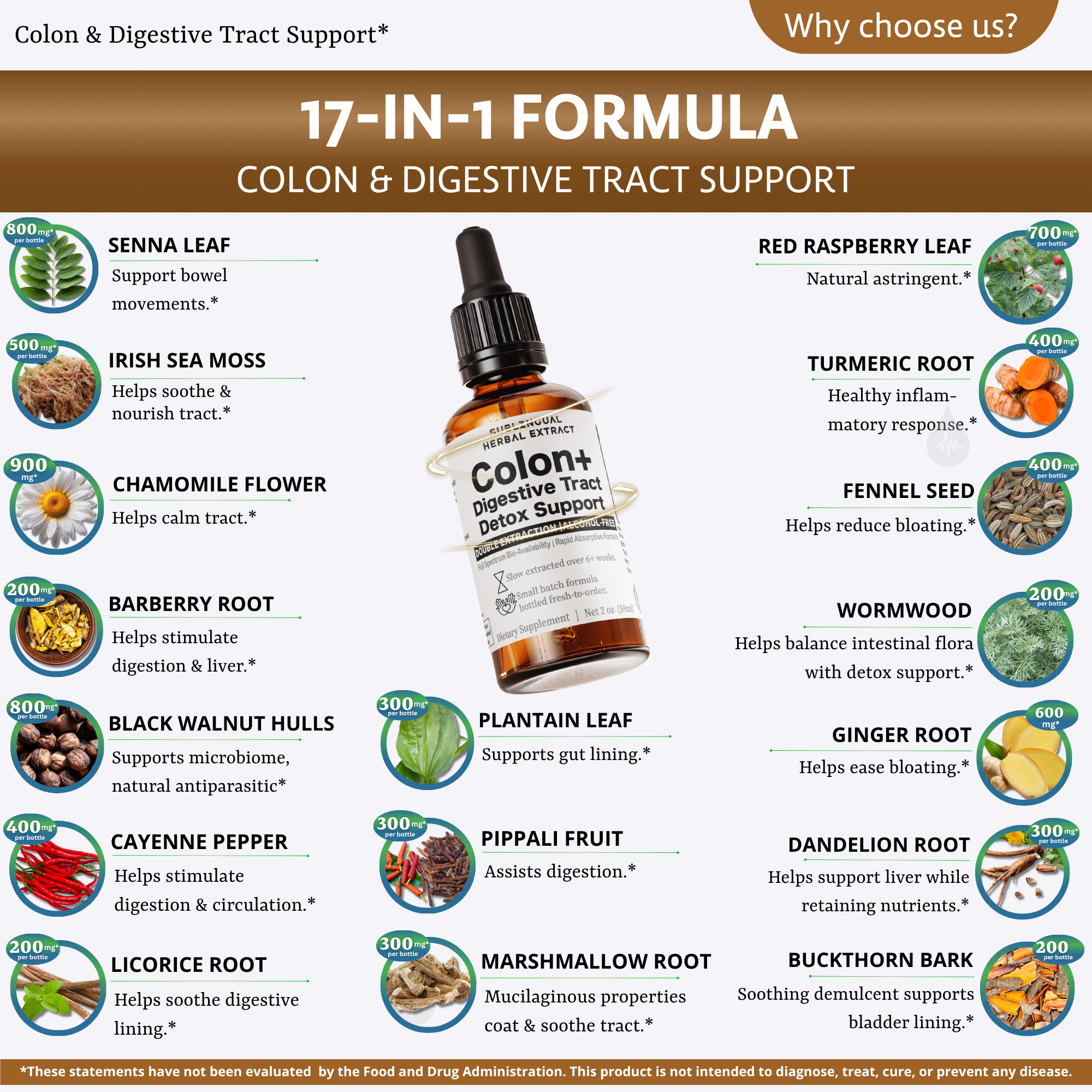 Colon & Digestive Support | Alcohol-Free