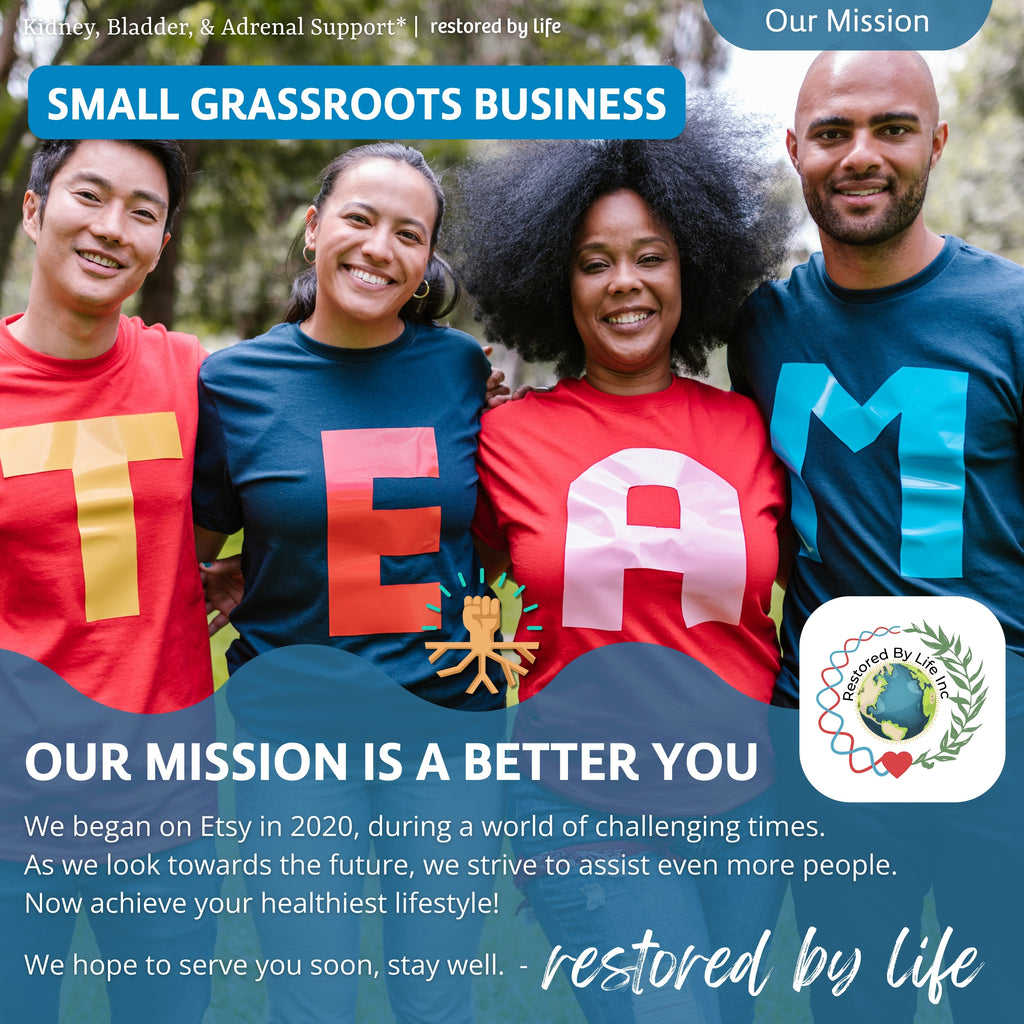 Kidney, Bladder & Adrenal Glands Support